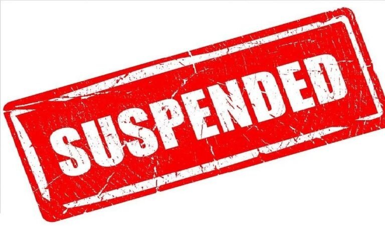suspend.jpg