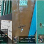 बिना अनुमति संचालित मस्जिद-मदरसा भवन पर एमडीडीए का शिकंजा; नोटिस, सुनवाई और मोहलत के बाद हुई कार्रवाई, अवैध निर्माण को किया गया सील